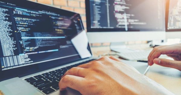 Web Developer vs Software Developer: Which One is Right for You?